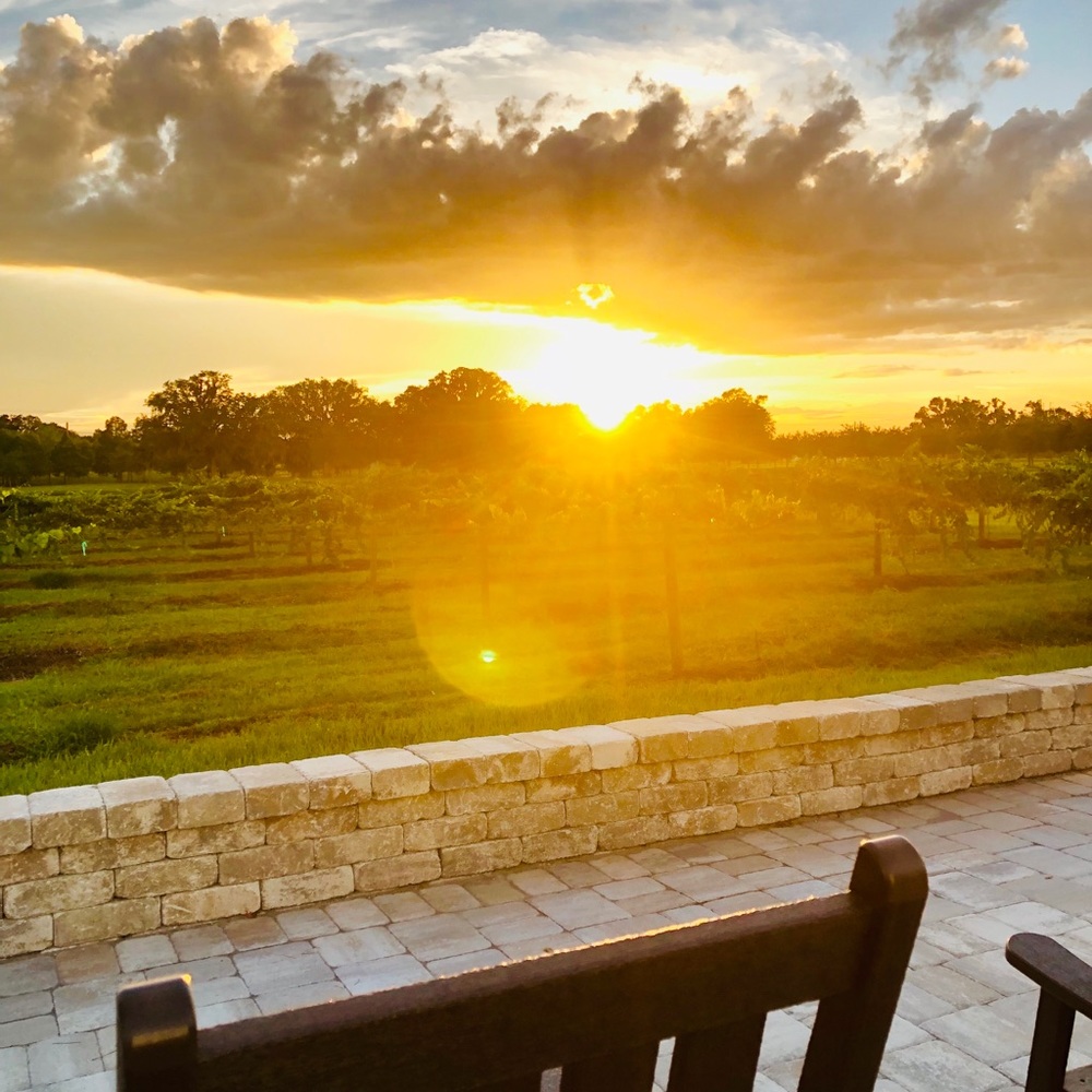 Meet your Posher, Riley